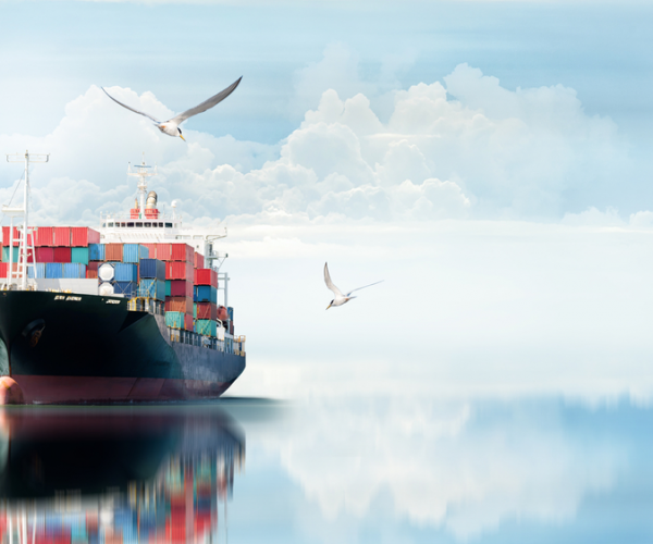Freight forwarders and cargo companies